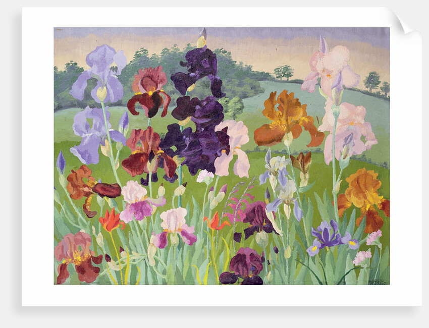 Several Inventions by Cedric Morris