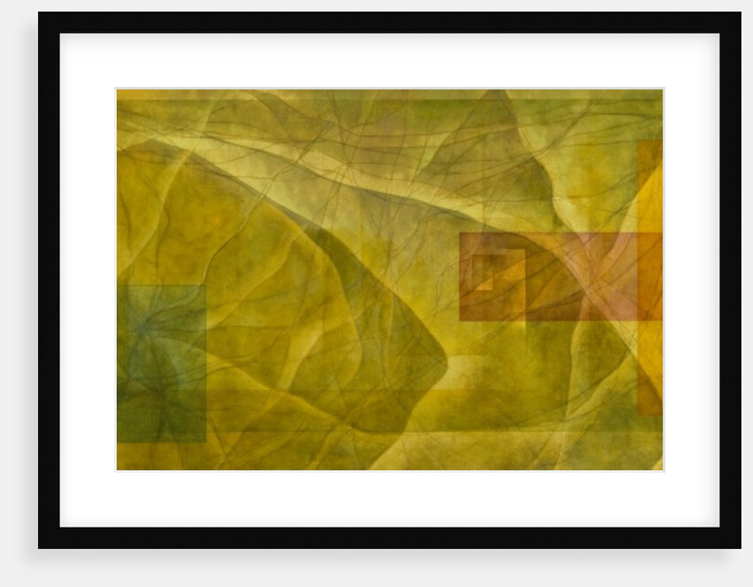 Evolution, 2004 by Mathew Clum