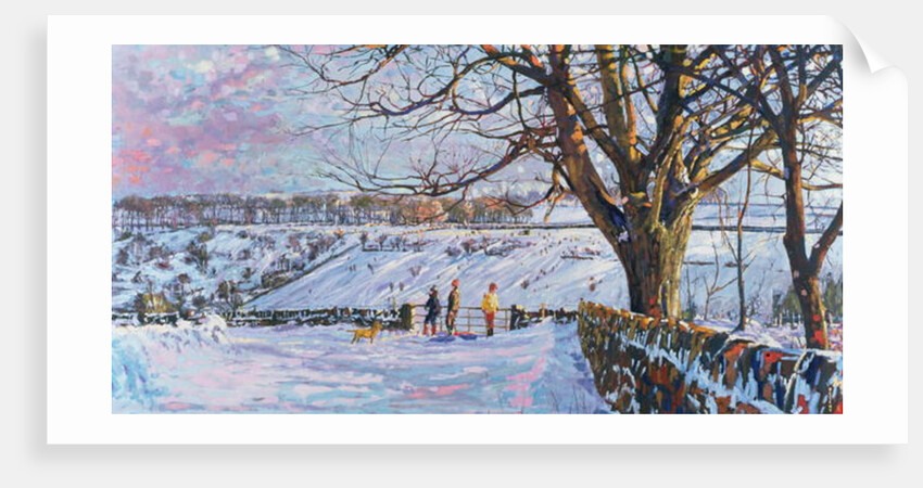 Walking the Dog, 1997 by Martin Decent