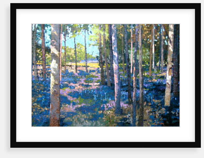 Bluebell Wood, 2009 by Martin Decent