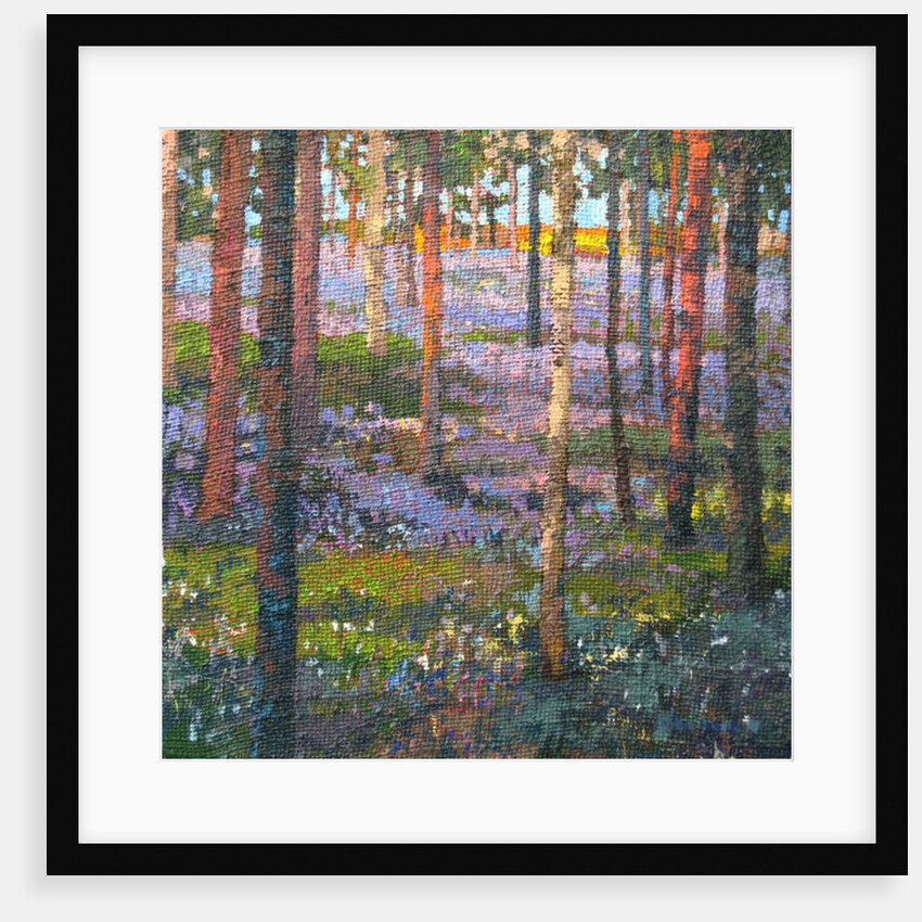 Late Bluebell Wood, 2014 by Martin Decent