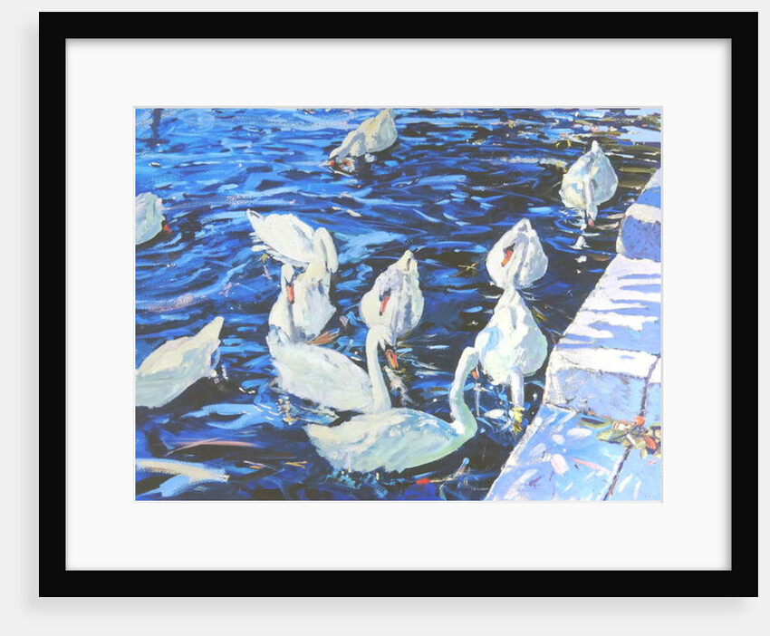 Swans, 2000 by Martin Decent
