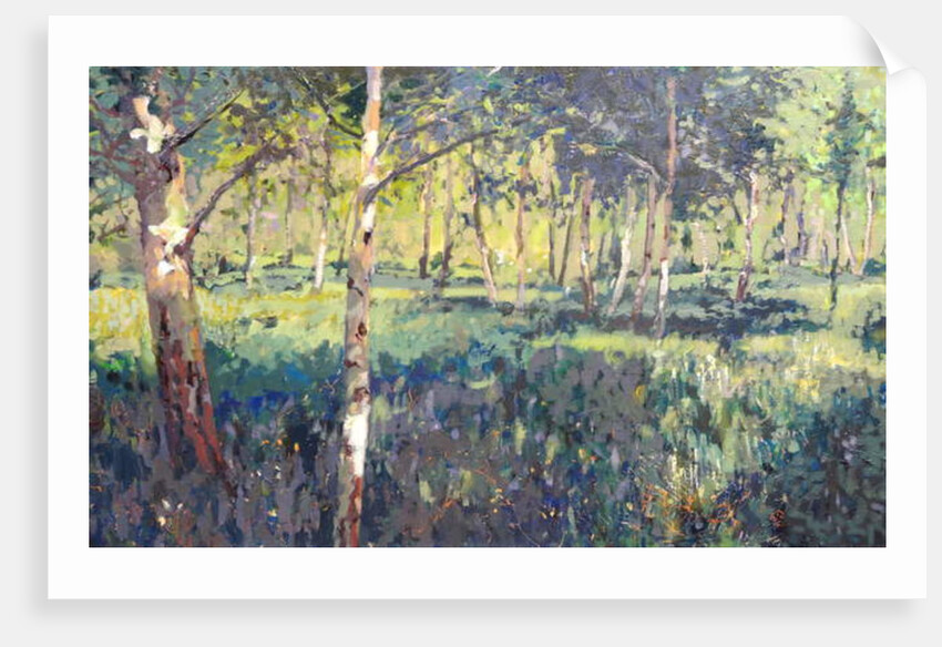 Woodland, 2014 by Martin Decent