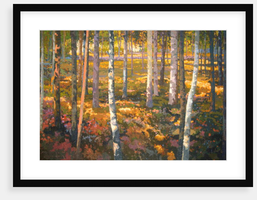 Through the Trees, 2014 by Martin Decent