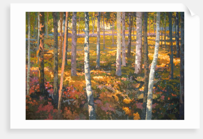 Through the Trees, 2014 by Martin Decent