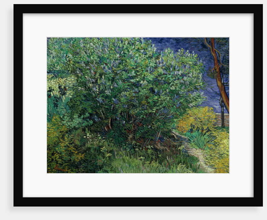 Lilac Bush, 1889 by Vincent van Gogh