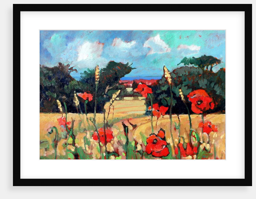 Kent Poppies, 2007 by Clive Metcalfe