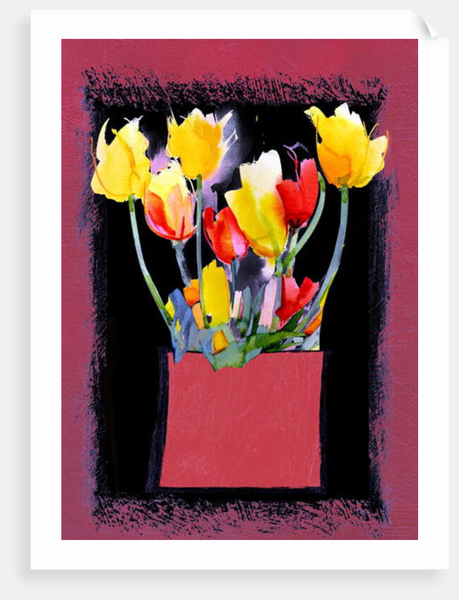 Tulips, 2009 by Clive Metcalfe