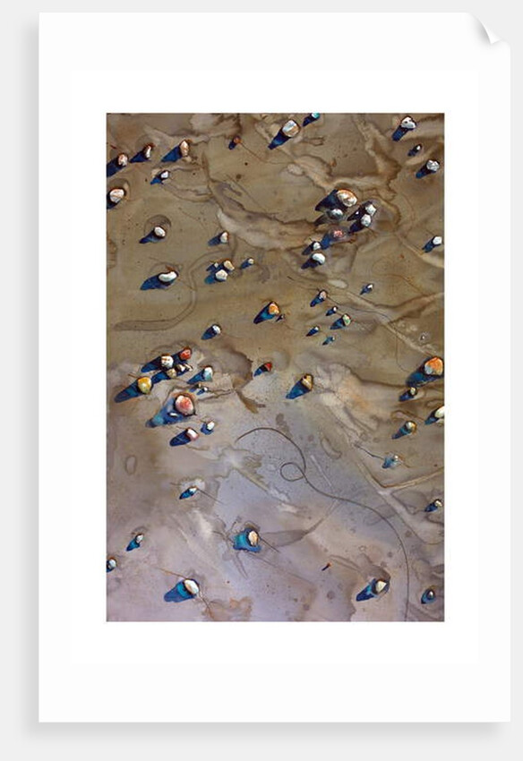 Pebbles by Michael Frith