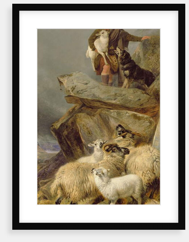 The Rescue, 1883 by Richard Ansdell