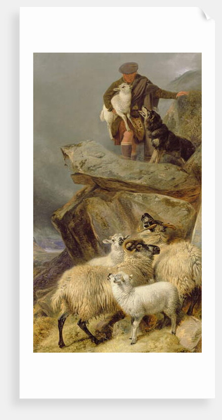 The Rescue, 1883 by Richard Ansdell