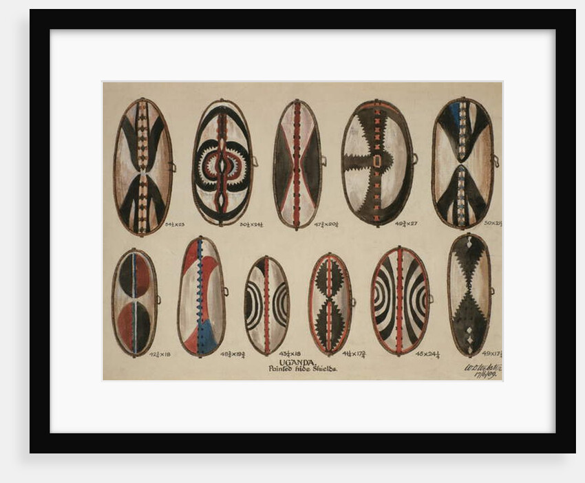 Uganda - Painted hide shields, 1909 by William Downing Webster