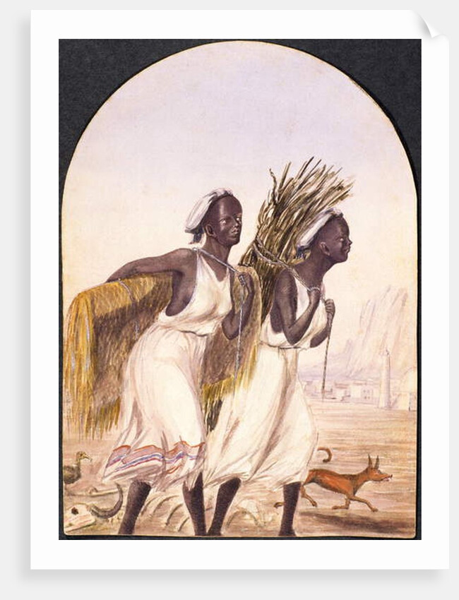 Somali Women at Aden, 1858 by Maitland Warren Bouverie Pasley