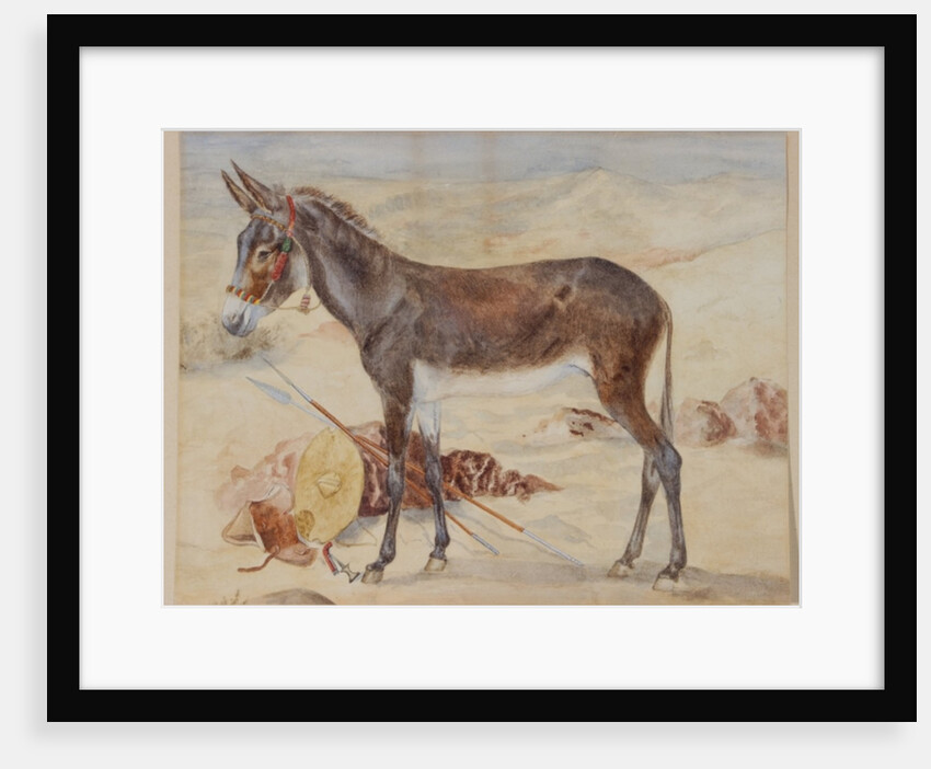 Mule by English School