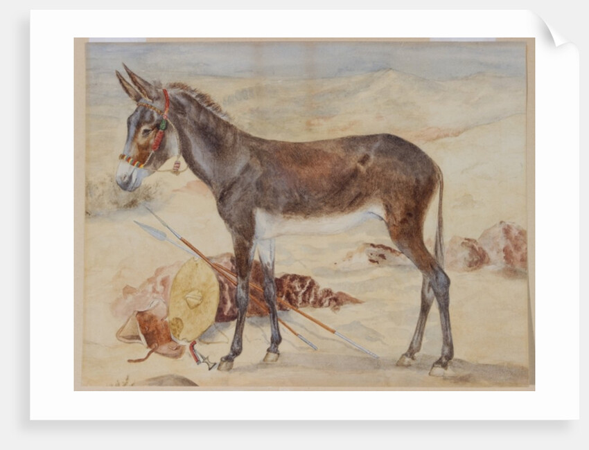 Mule by English School