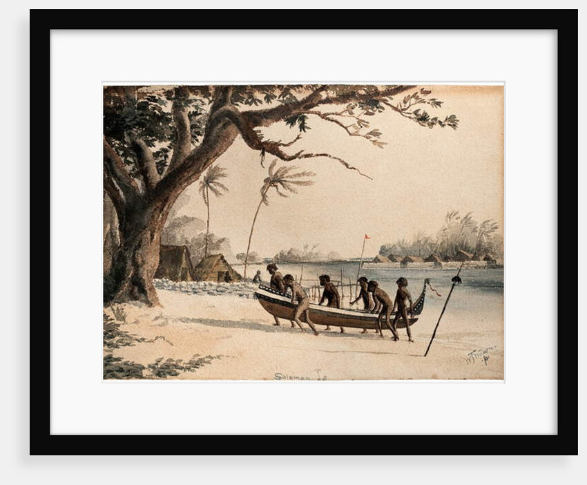 Solomon Islands, 1901 by William Twizell Wawn