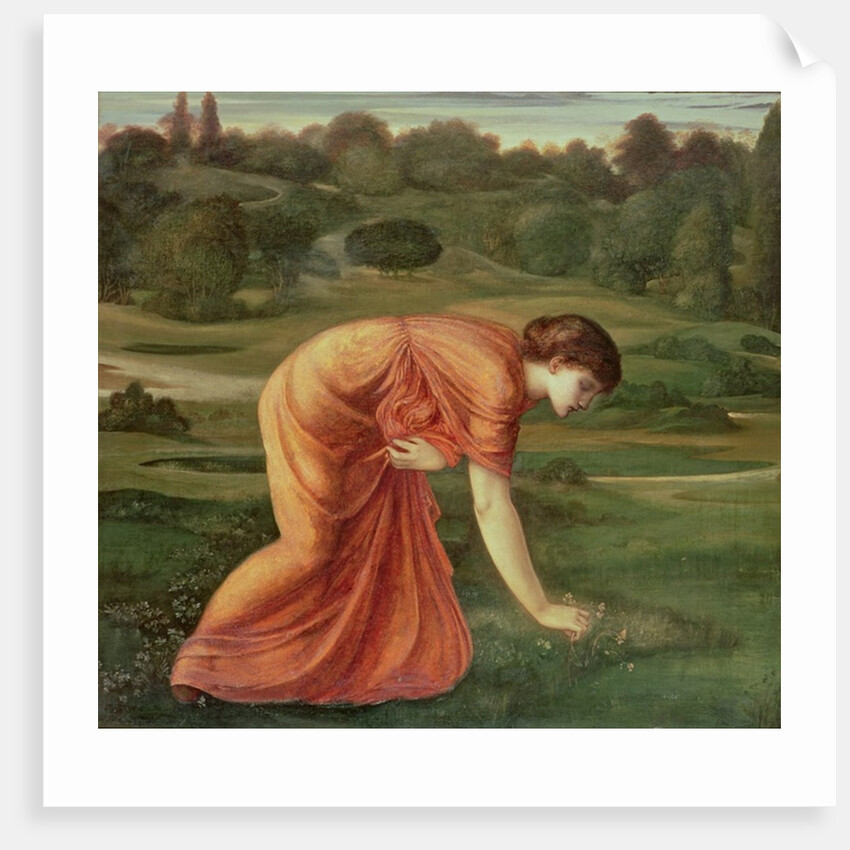 The March Marigold, c.1870 by Edward Coley Burne-Jones