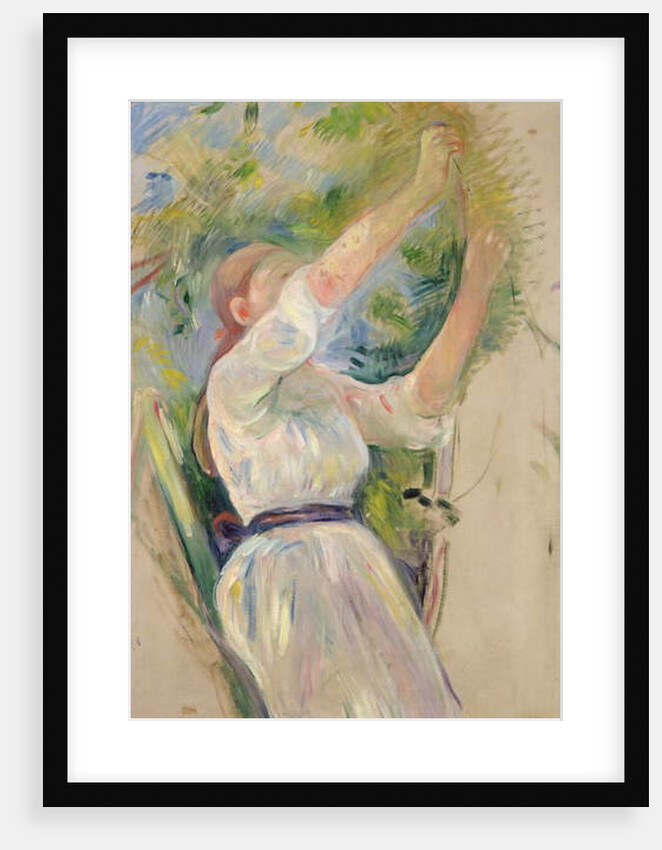 Girl gathering cherries, 1891 by Berthe Morisot