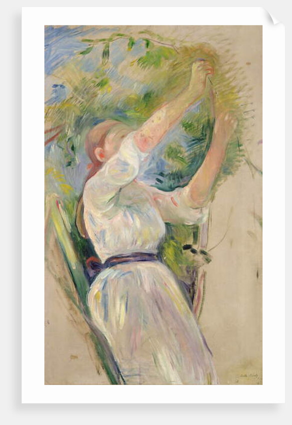 Girl gathering cherries, 1891 by Berthe Morisot