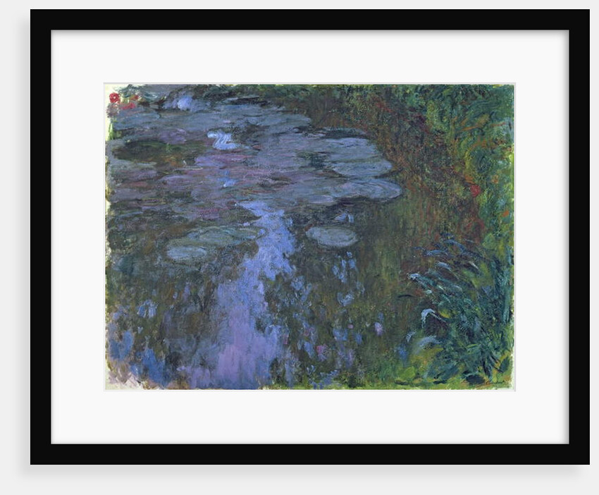 Nympheas by Claude Monet