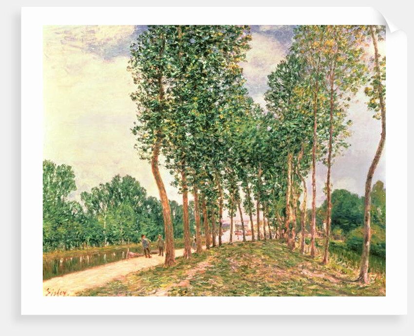 Banks of the Loing, near Moret by Alfred Sisley