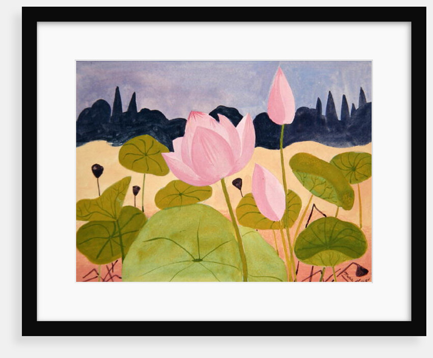 Lotus in the Garrigue, 1984 by Marie Hugo