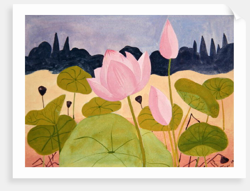 Lotus in the Garrigue, 1984 by Marie Hugo