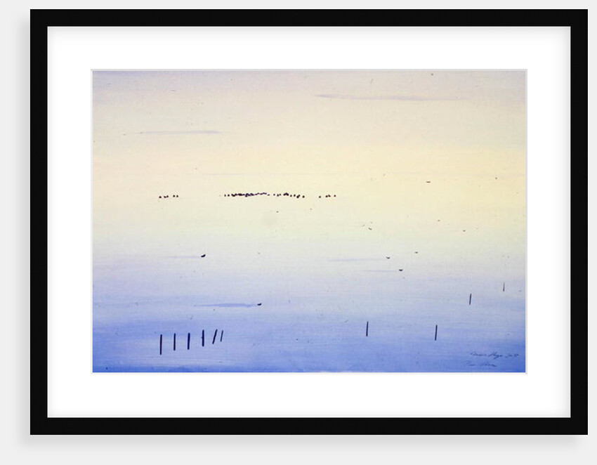 Le Vaccares, 1987 by Marie Hugo