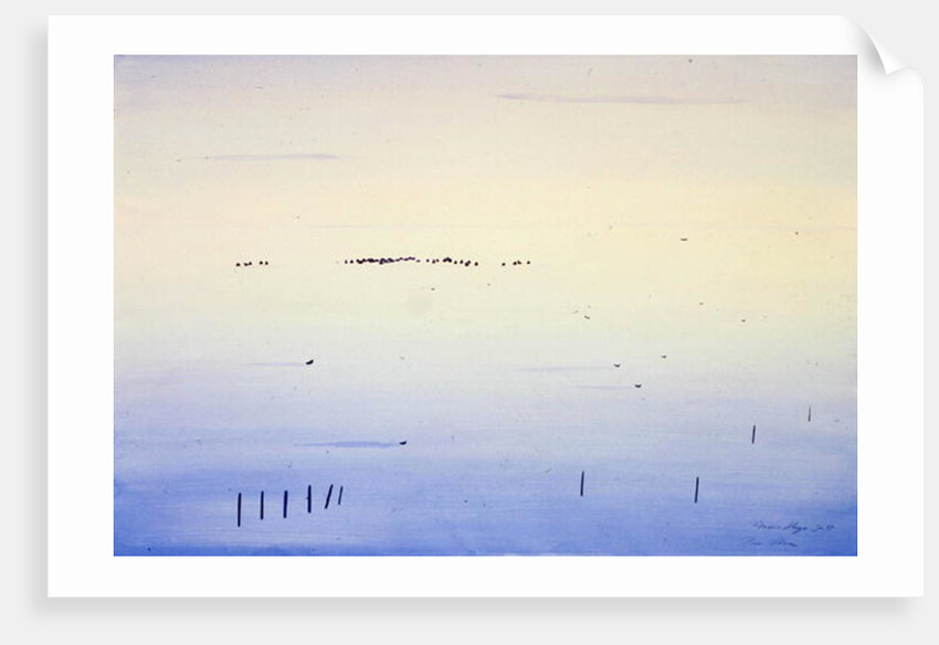 Le Vaccares, 1987 by Marie Hugo