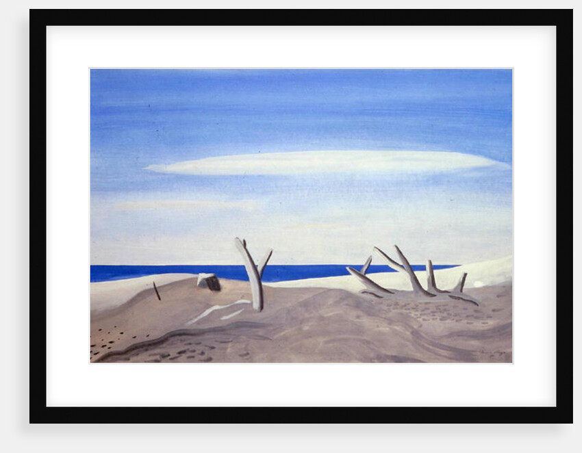 Bois Flottes du Grand Radeau, 1987 by Marie Hugo