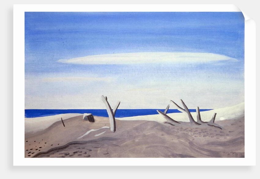 Bois Flottes du Grand Radeau, 1987 by Marie Hugo