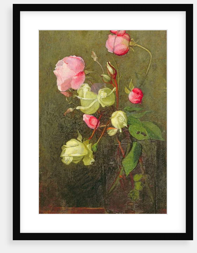 Roses by Marianne Stokes