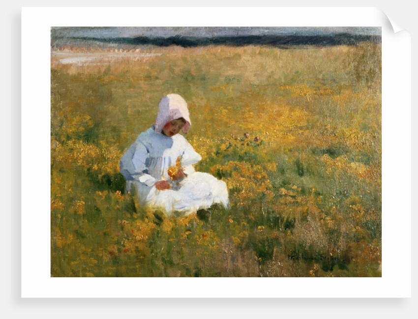 In a Field of Buttercups by Marianne Stokes
