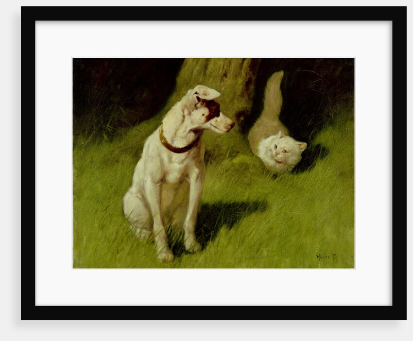 White Persian Cat and Jack Russell by Arthur Heyer