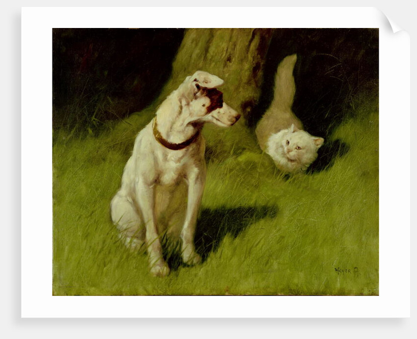 White Persian Cat and Jack Russell by Arthur Heyer