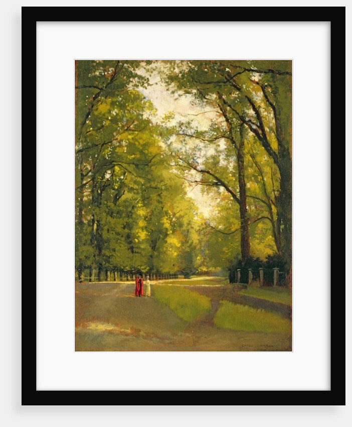 Backs of the Colleges, Cambridge by Cyrus Johnson