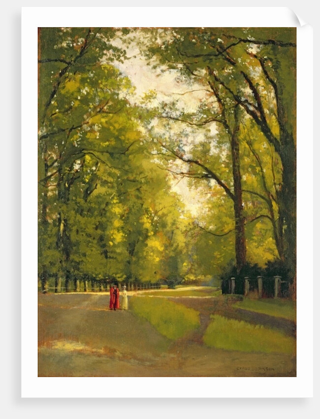 Backs of the Colleges, Cambridge by Cyrus Johnson