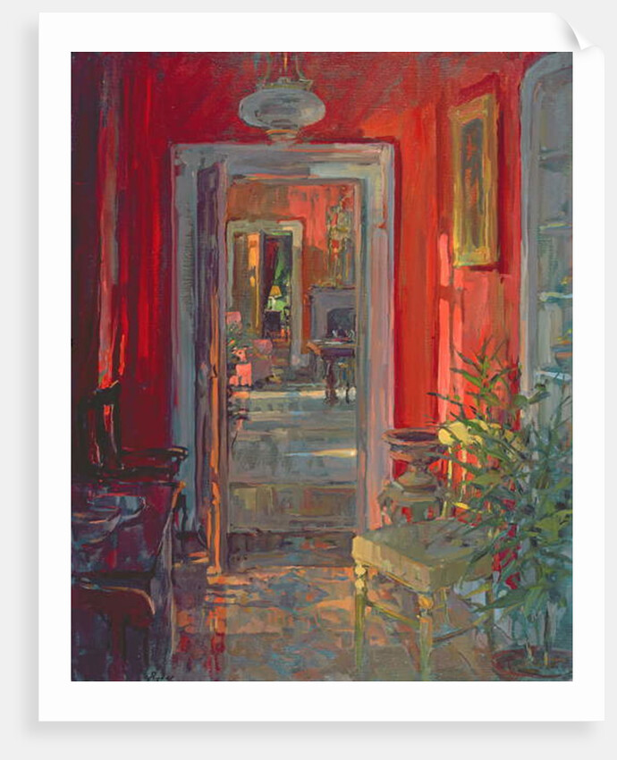 Afternoon Sunlight by Susan Ryder