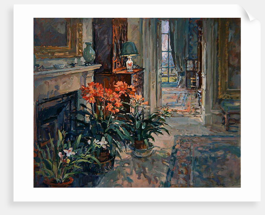 Clivia and Orchid by Susan Ryder