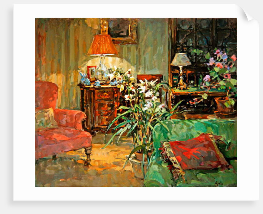 Orchid by Lamplight by Susan Ryder