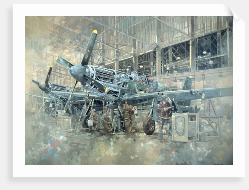 Mustang at Warton by Peter Miller