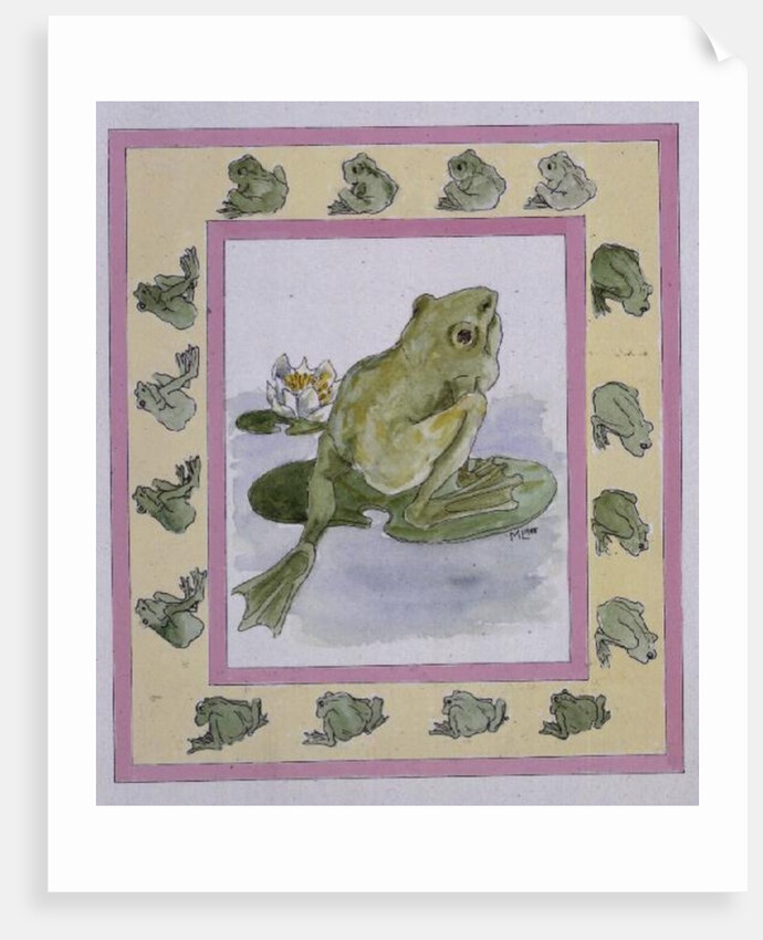 Frogs by Miranda Legard