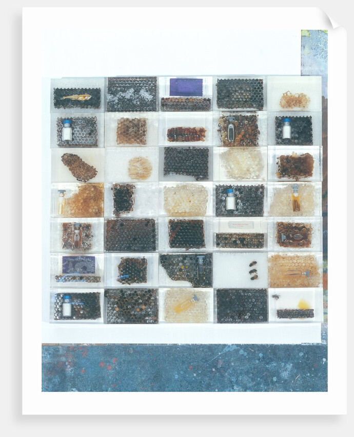 Bee resin casts by Charlie Millar