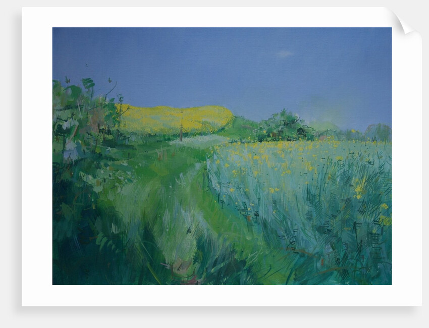 May, 2012 by Charlie Millar