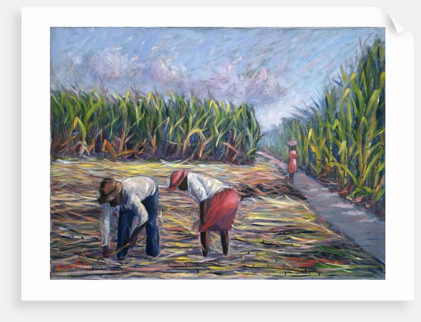 Sugarcane Harvest, 1986 by Carlton Murrell