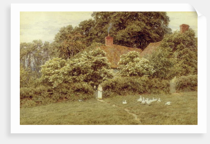 A Cottage at Farringford, Isle of Wight by Helen Allingham