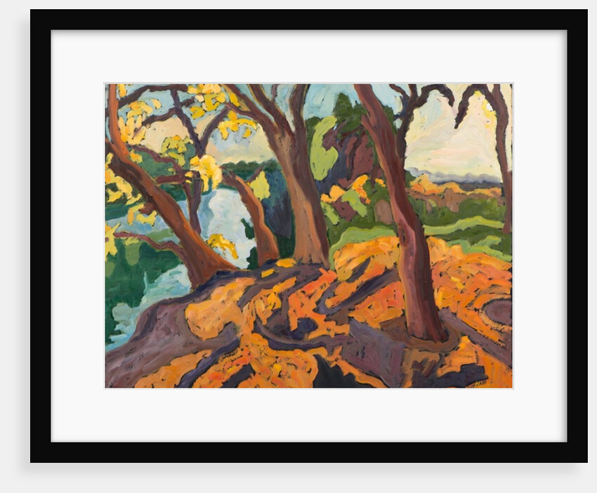 Ageing trees, 2009 by Marta Martonfi-Benke