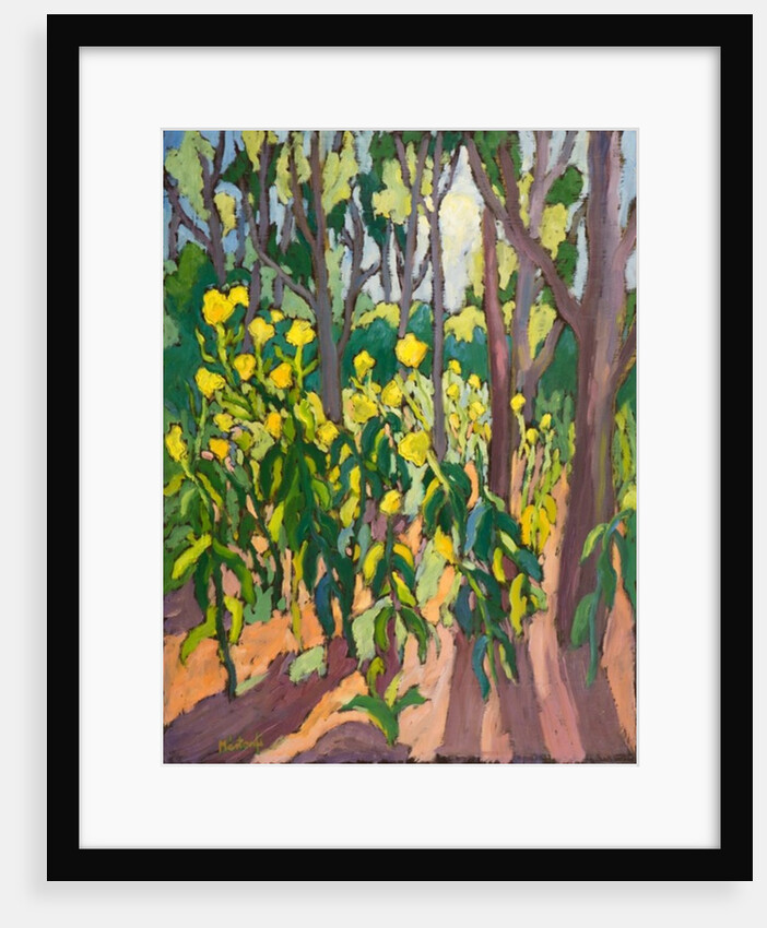 Ambassadors of Light,2011 by Marta Martonfi-Benke