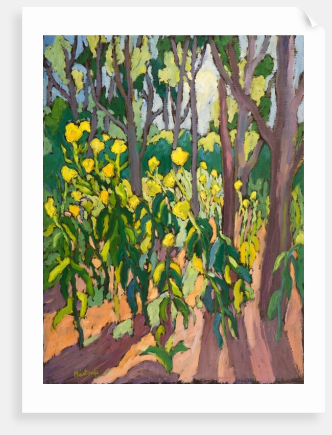 Ambassadors of Light,2011 by Marta Martonfi-Benke