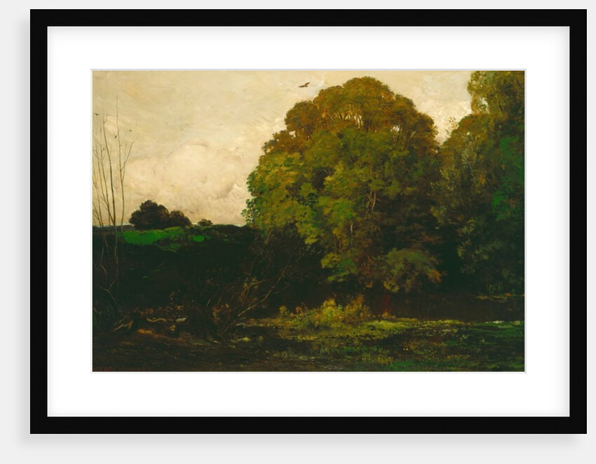 A Pond in the Morvan, 1869 by Charles Francois Daubigny